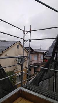 台風養生 (1).jpg