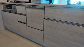 既存キッチンです