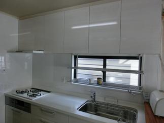 シエラ：グロッシーバーチ