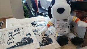 そうめん　アイガス