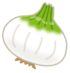 玉ねぎ①.png