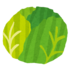 キャベツ.png