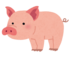 豚.png