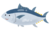 魚.png