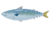 鯖.png