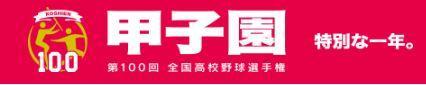 高校野球.JPG