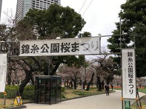 錦糸公園桜まつり1.jpg