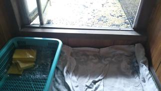 【BEFORE】脱衣所