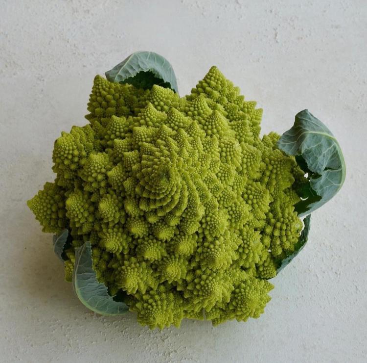地球外生命野菜 ホームリフレヒロセのブログ 写真1