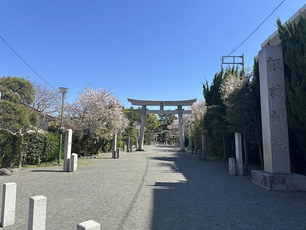 S__86056976.jpg