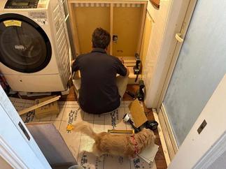 組立中（わんわん乱入）