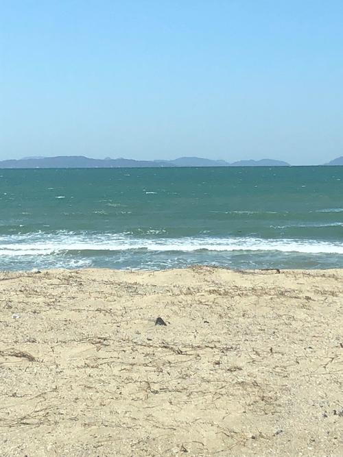 iOS の画像 (7).jpg