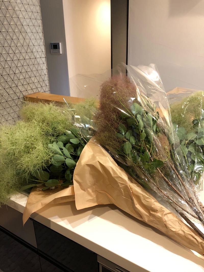 iOS の画像 (17).jpg