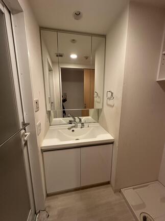 Before　洗面化粧台