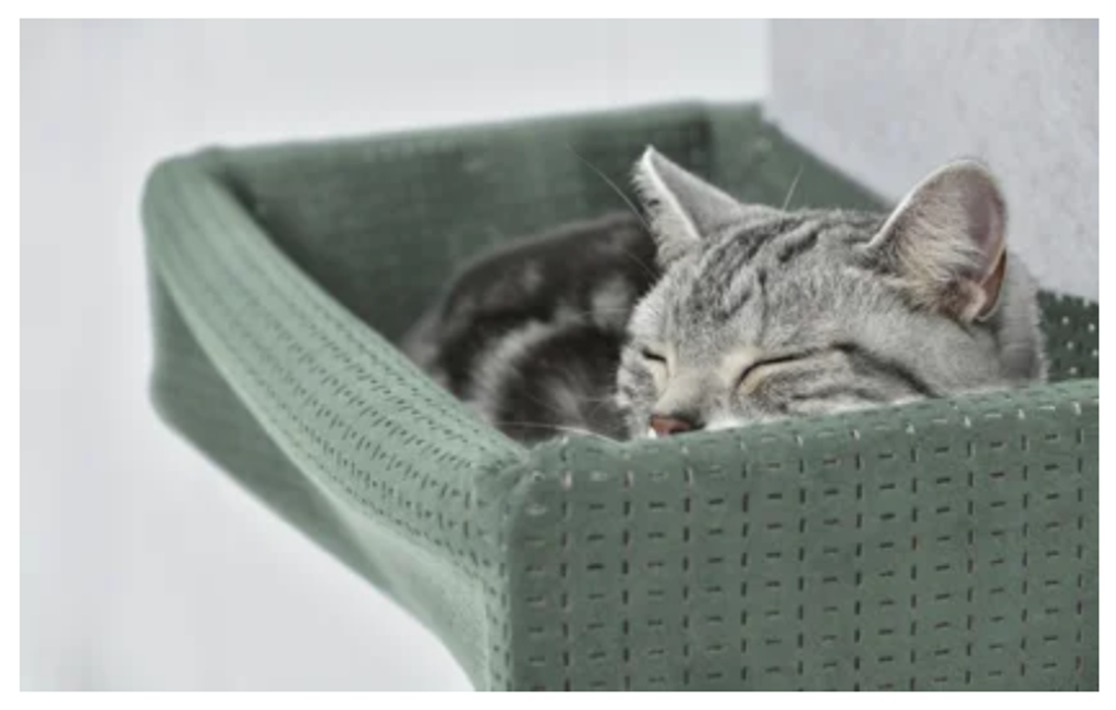 猫壁ハンモック_2.png
