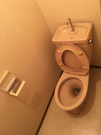 タンクでの手洗いがきつくなったので、、、