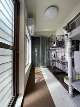 猫ちゃん部屋完成です！