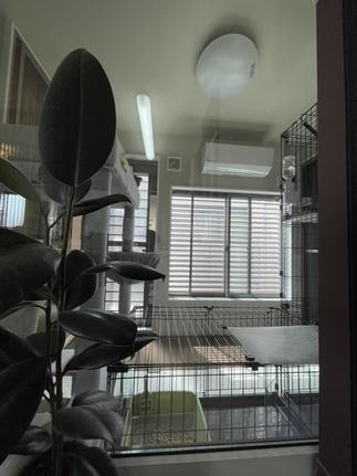 飛び出し対策もバッチリです！