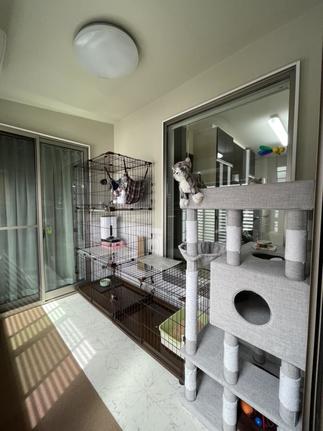 猫ちゃんからはキッチンも見えます