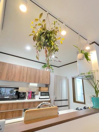 【グリーンも映えるオープンキッチンへ！】