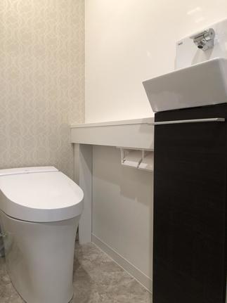 サティスS　リトイレ　手洗いカウンター