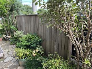 フェンス ＜BEFORE＞