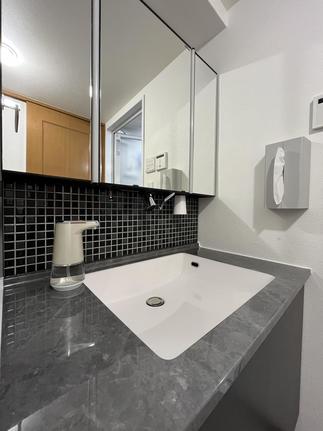 美しいラピシアカウンター