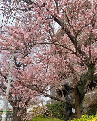 5.pngのサムネイル画像