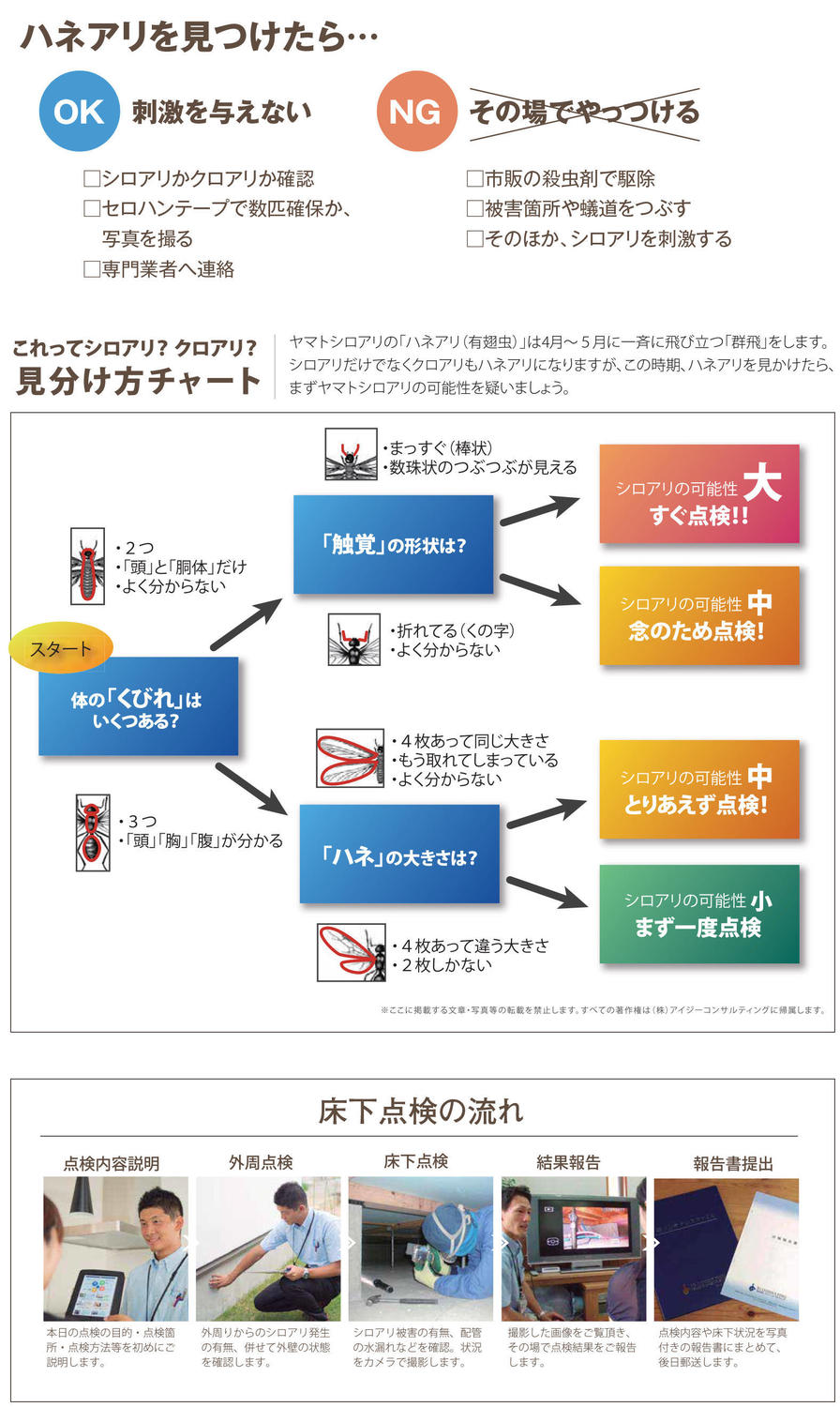 ハネアリツール01 (1).jpg