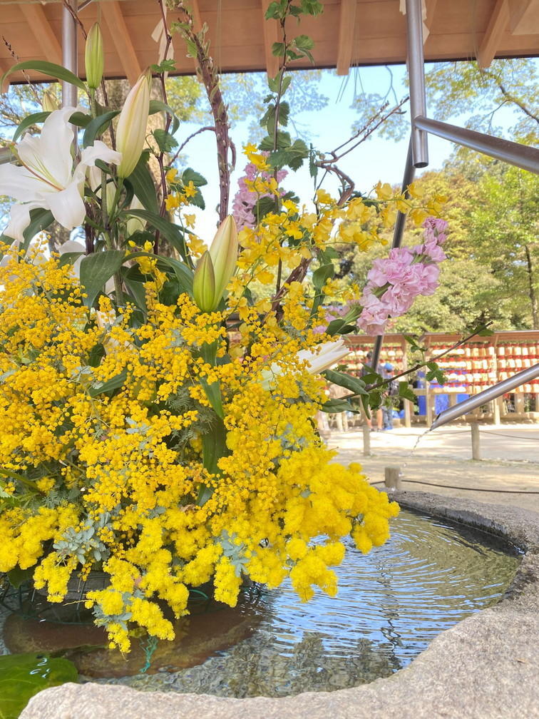 iOS の画像 (2).jpg