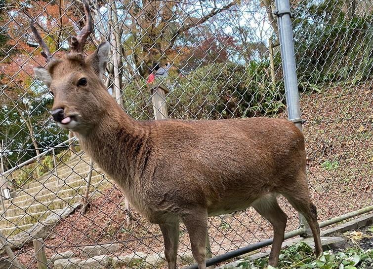 iOS の画像 (3).jpg