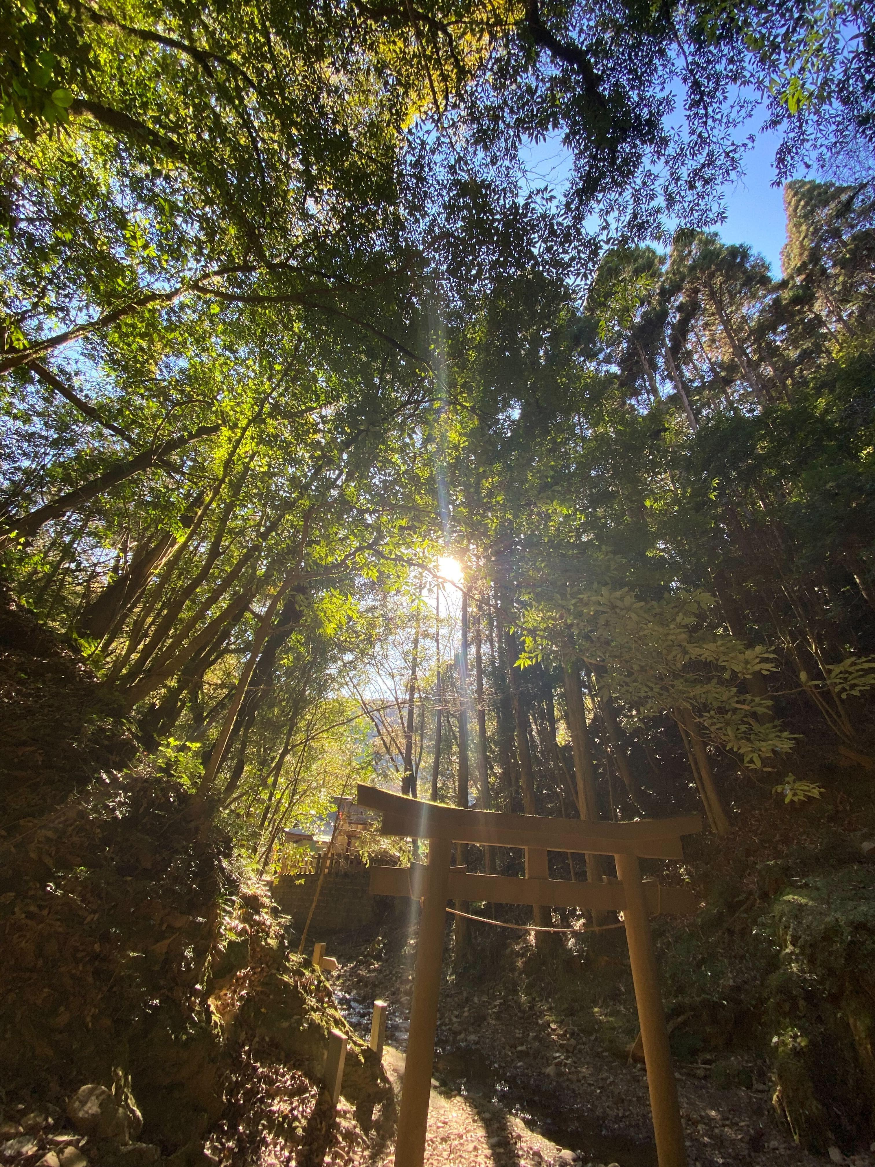 iOS の画像 (3).jpg