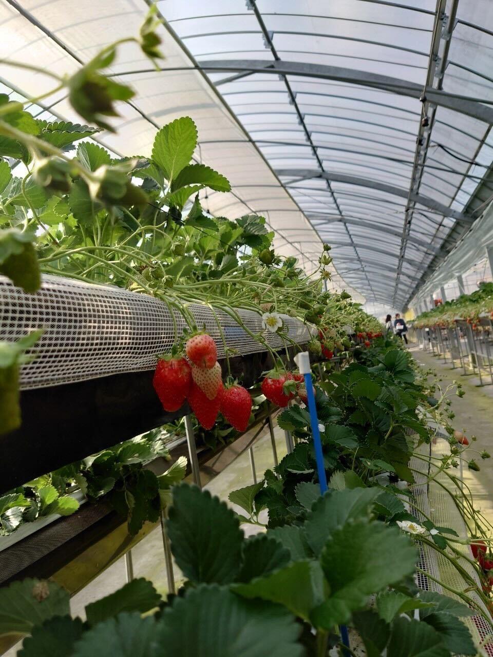 iOS の画像 (2).jpg