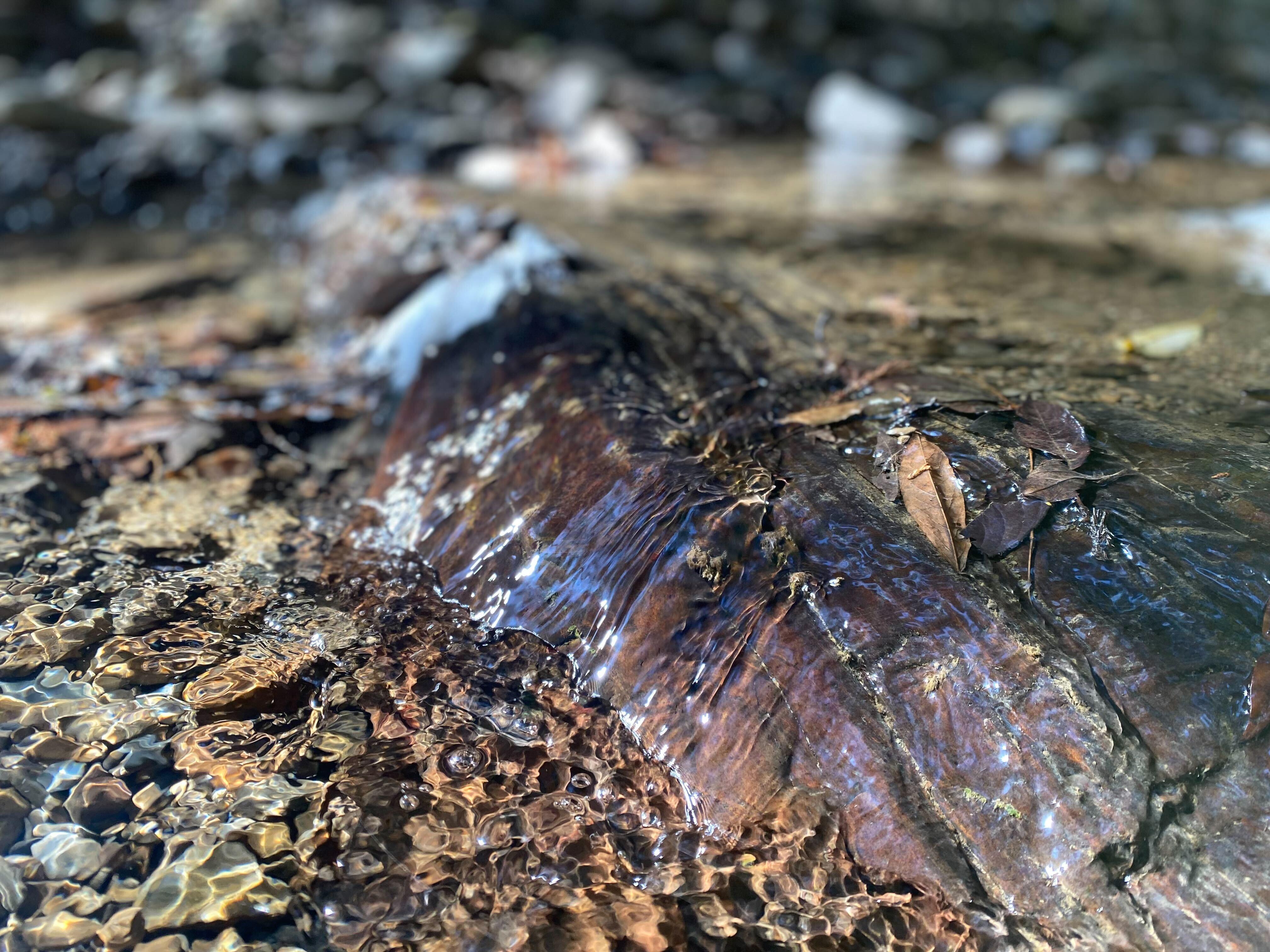 iOS の画像 (4).jpg