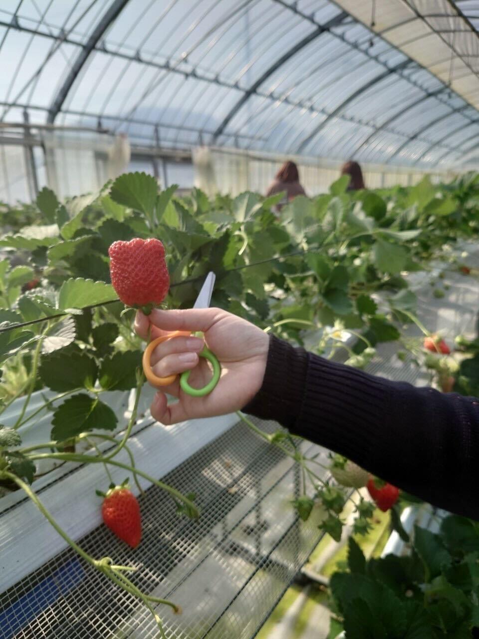 iOS の画像 (3).jpg