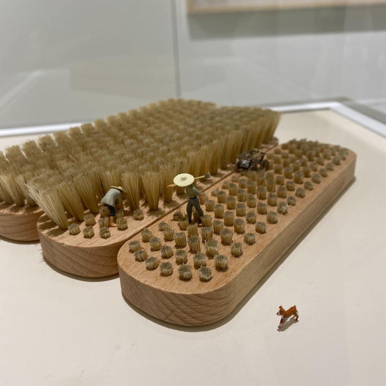 iOS の画像 (4).jpg