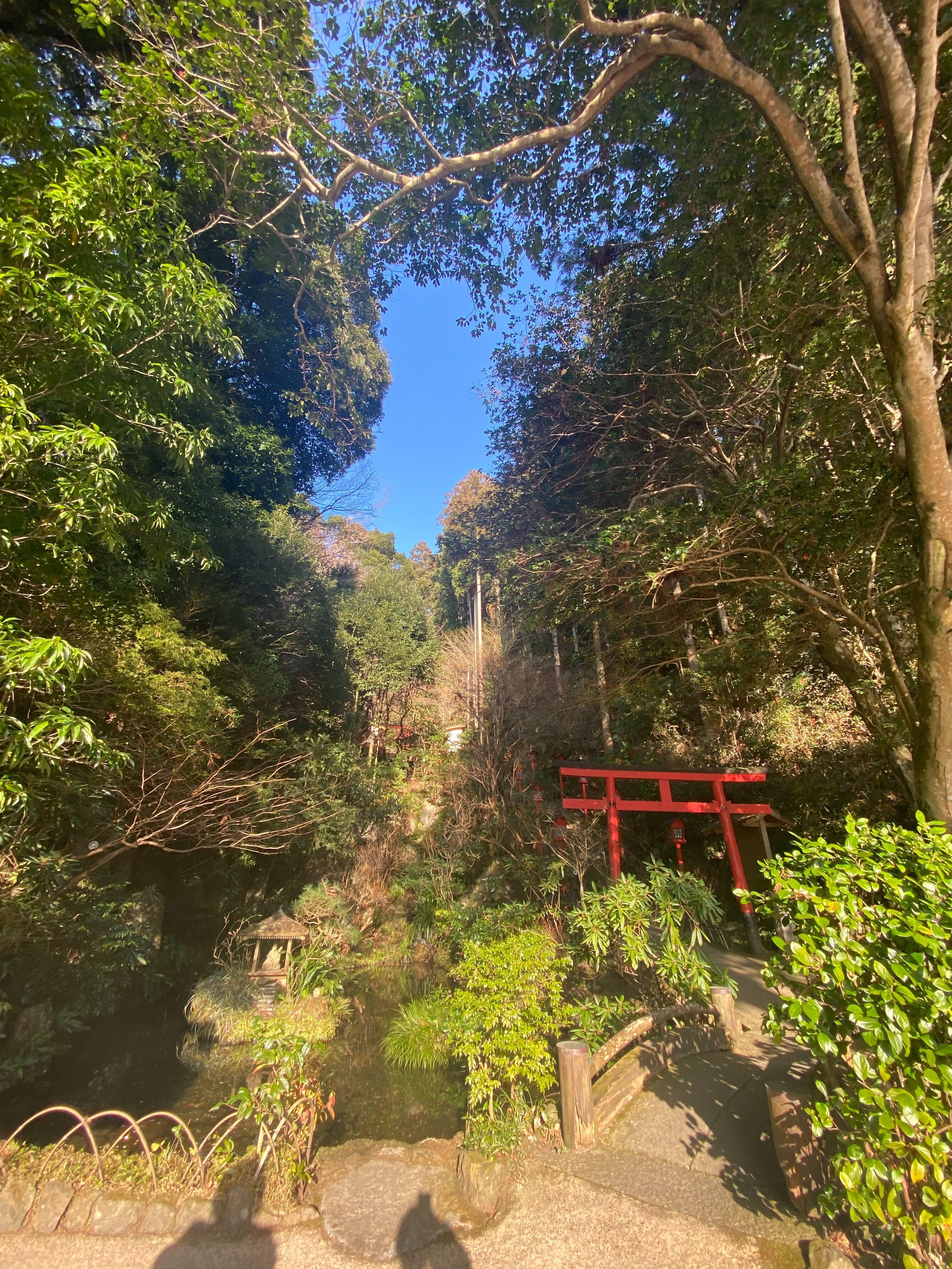 iOS の画像 (3).jpg