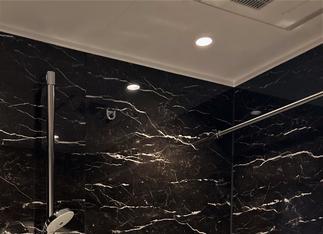 浴室　調光　ﾀﾞｳﾝﾗｲﾄ