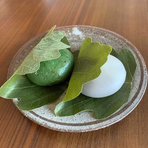 iOS の画像 (1).jpg