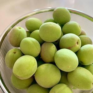 iOS の画像 (3).jpg