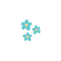 6.png