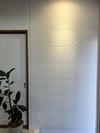 玄関エコカラット