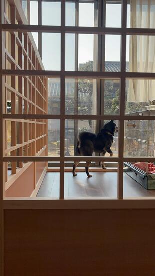 愛犬と心地よく暮らす、こだわりのサークル