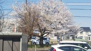 DSC_3928 - コピー.JPG