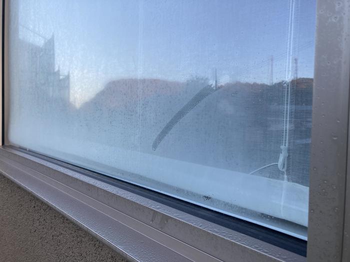 2022-11-25 07.24.27.jpg