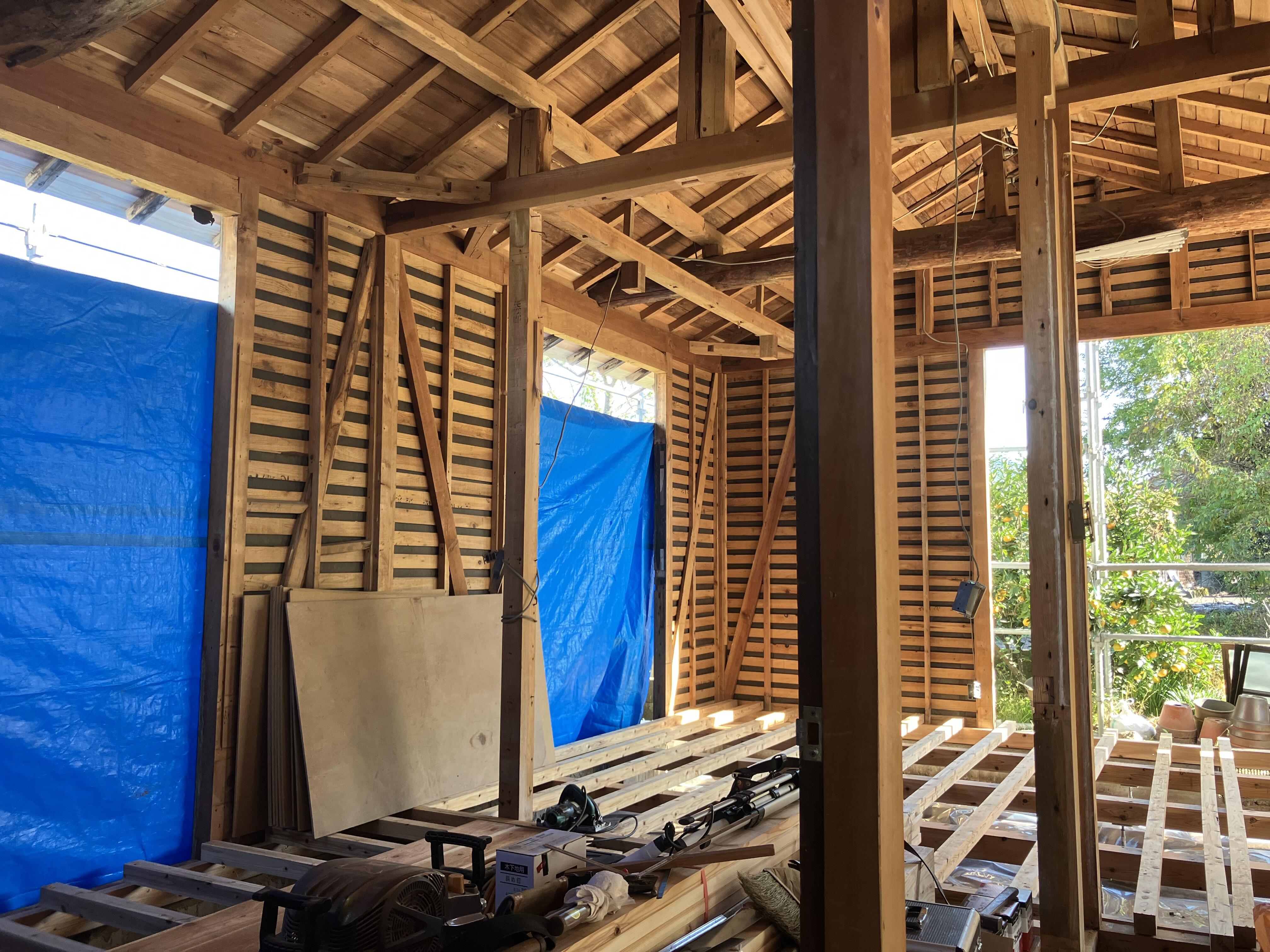 写真 2025-11-20 10 41 36.jpg