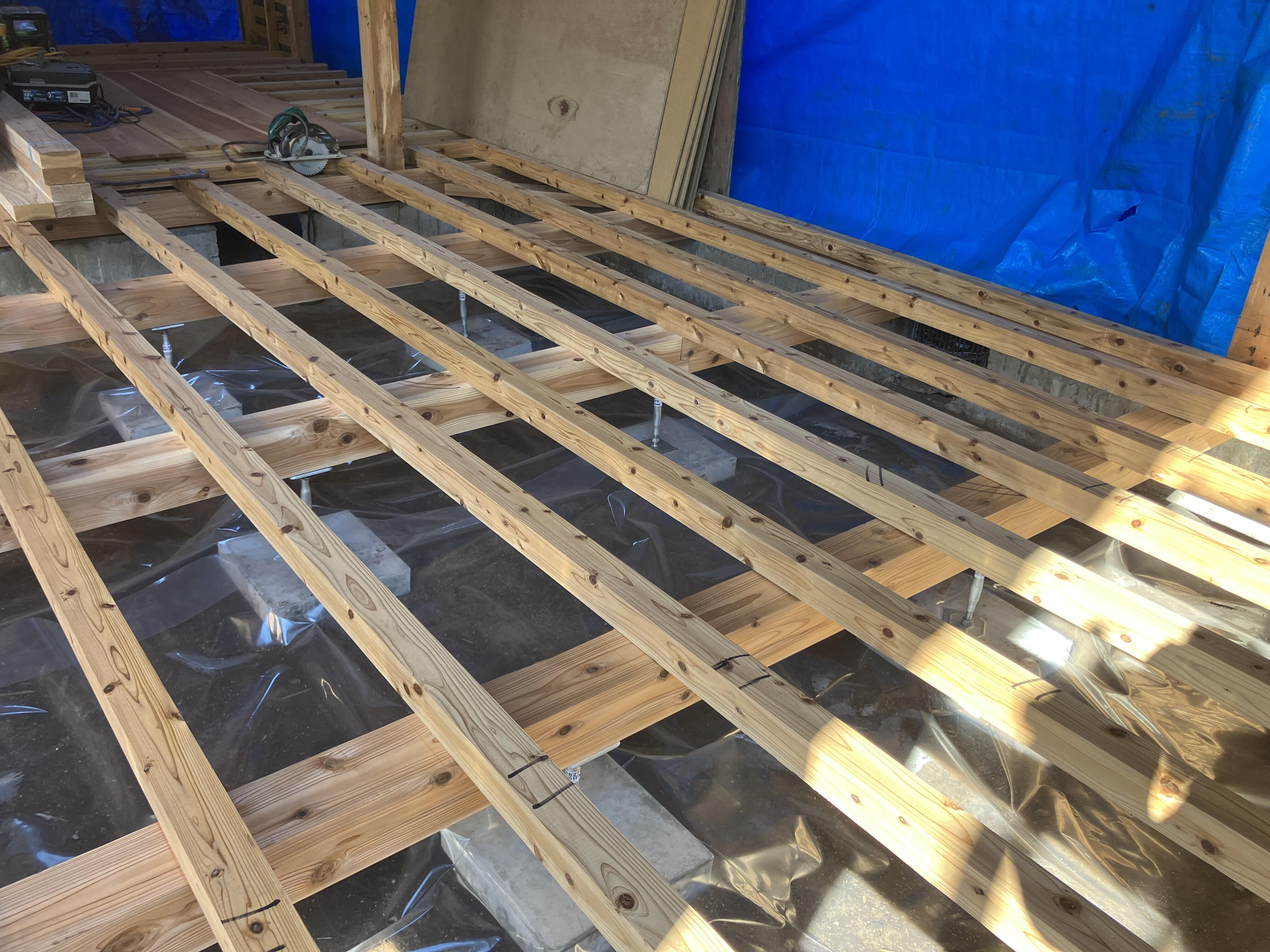 写真 2025-11-20 10 44 19.jpg