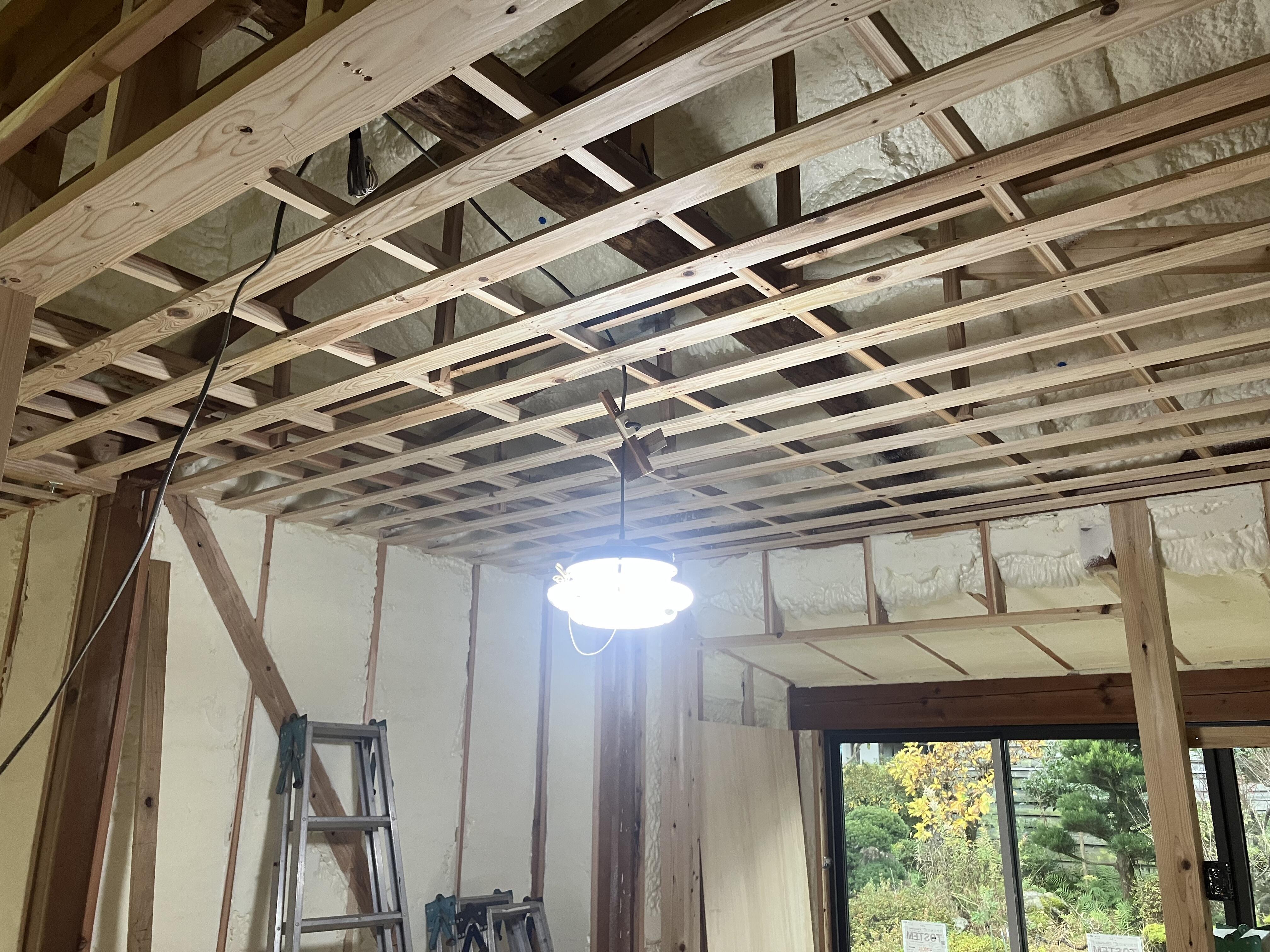 写真 2025-12-17 10 03 04.jpg