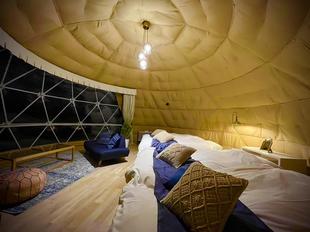 写真 2022-11-18 9 02 21.jpg