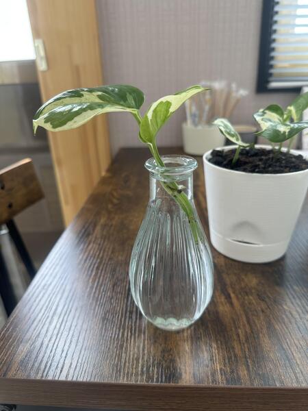 image0 (002).jpeg